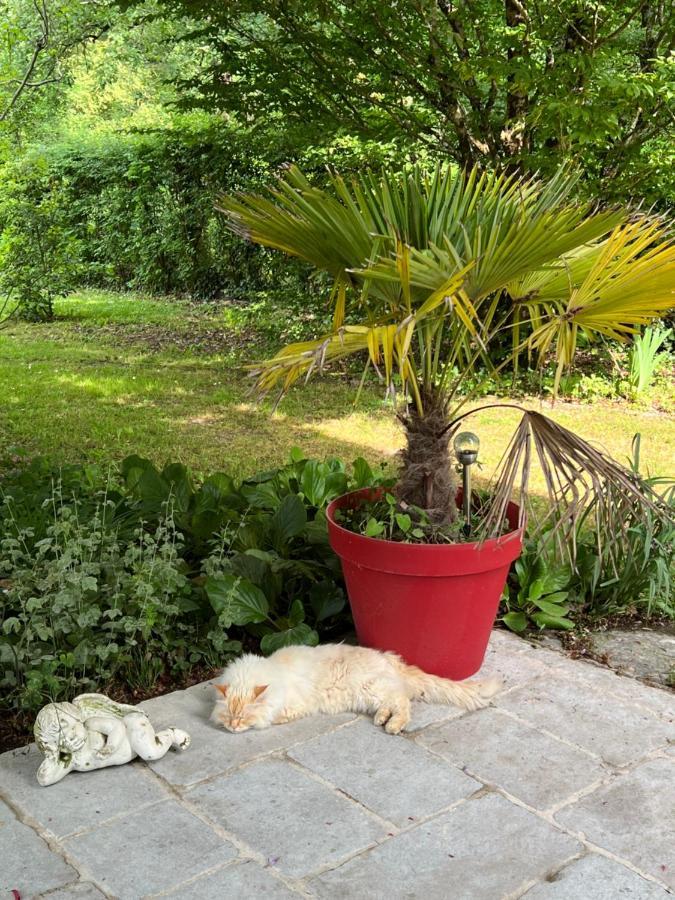 Appartement Les Vergers à Bergerac Extérieur photo
